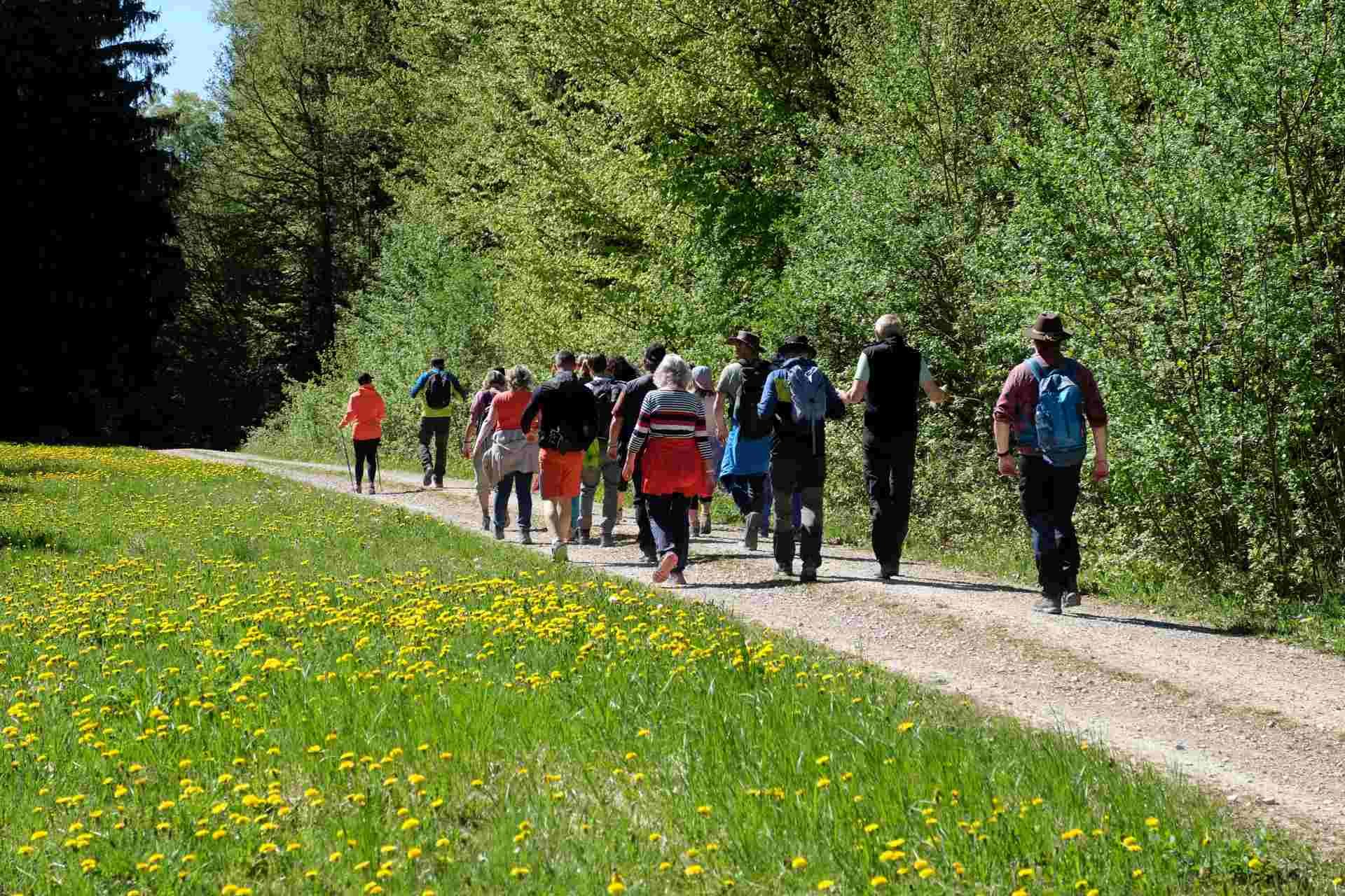 05 a Wanderung in den Mai - sportlich und Genießer